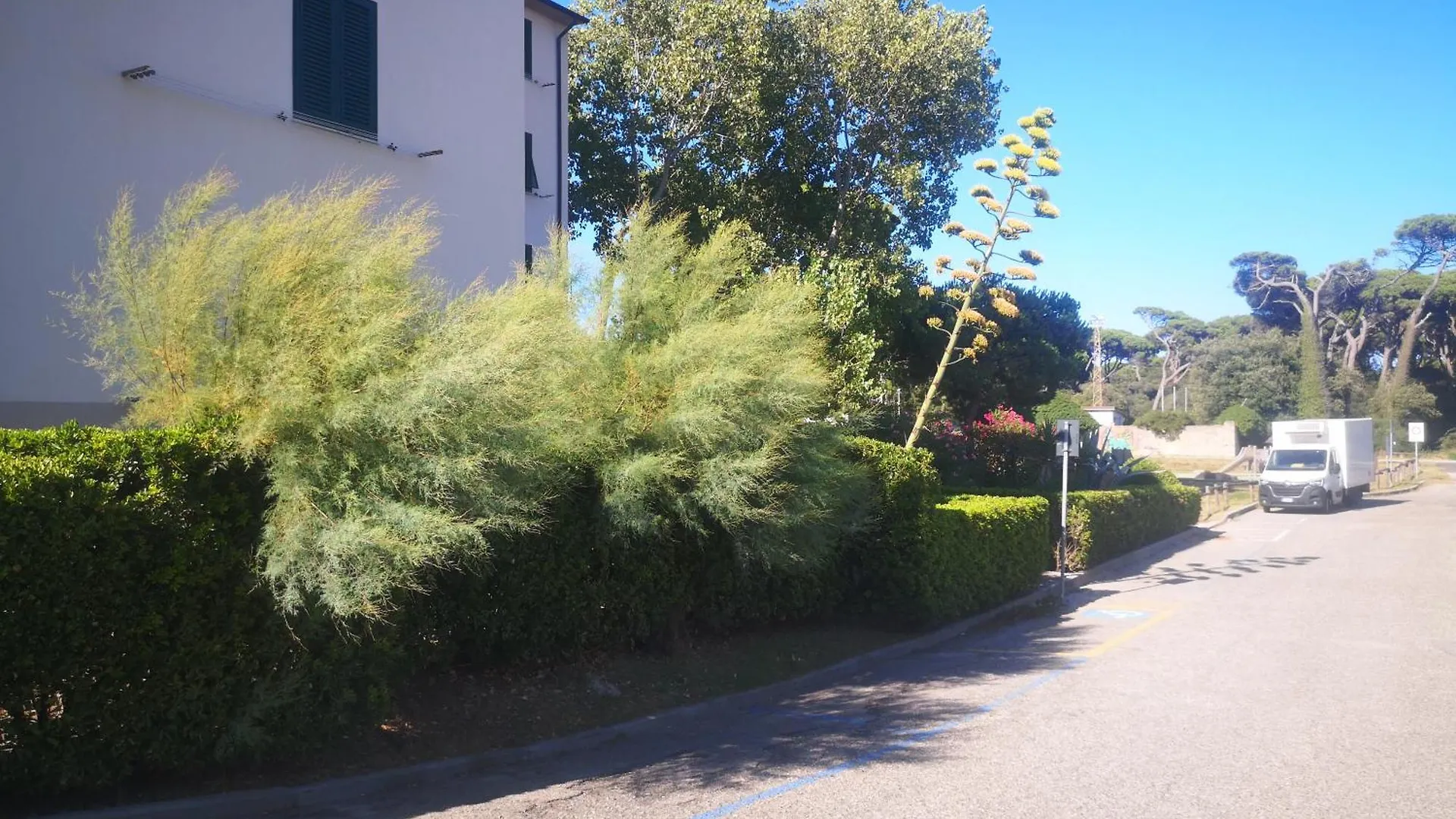 Bilocale Marina Di Pisa Apartment